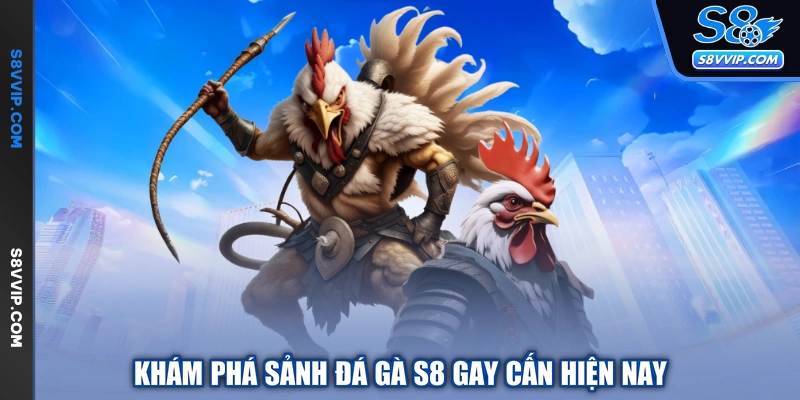 Khám phá sảnh đá gà S8 gay cấn hiện nay