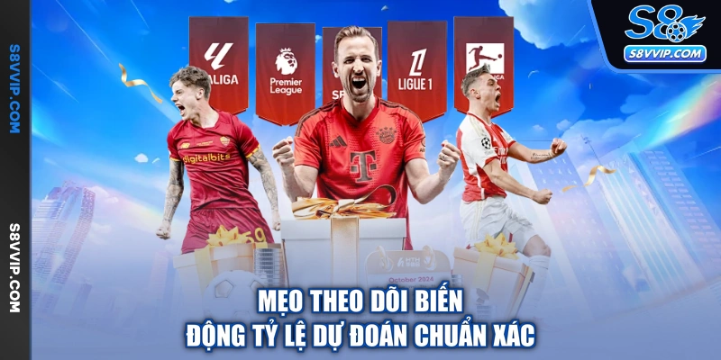 Mẹo theo dõi biến động tỷ lệ dự đoán chuẩn xác