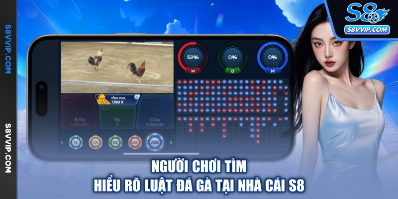 Người chơi tìm hiểu rõ luật đá gà tại nhà cái S8