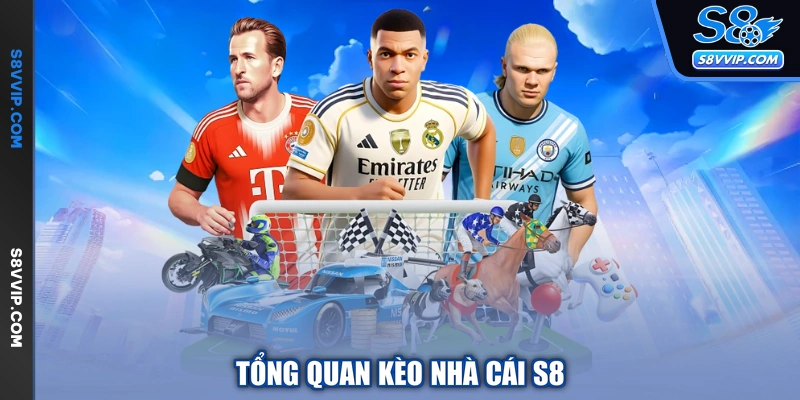 Tổng quan kèo nhà cái S8